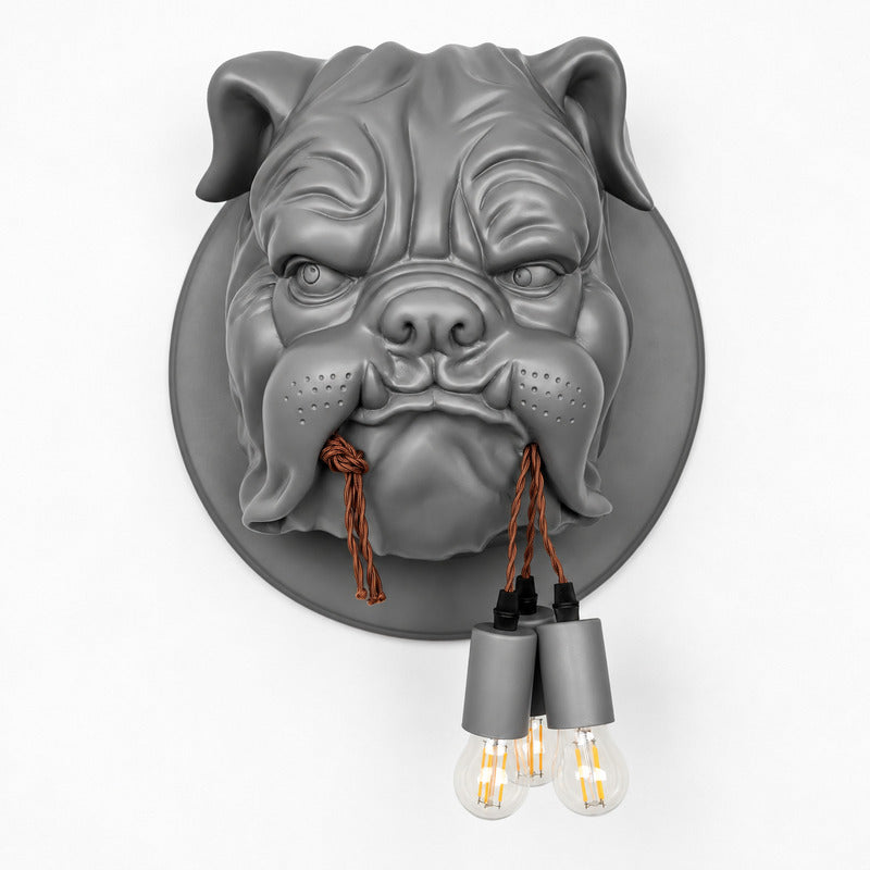 Matte grey Bulldog wall sconce as a modern sculptural accent in a hallway