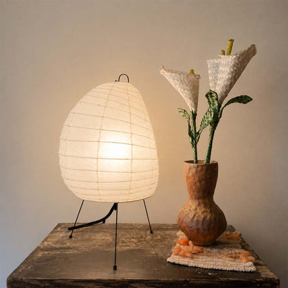 Retro aesthetic room setup with Akari 1N paper lamp next to a vase - stuberlighting