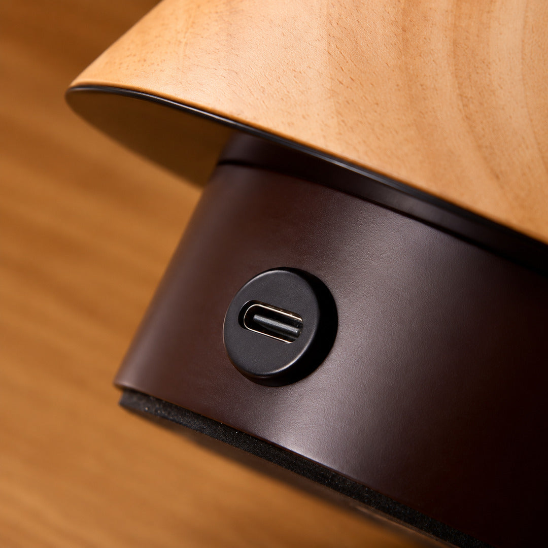 Type-C charging port on the walnut wood base of the Alberello cordless lamp