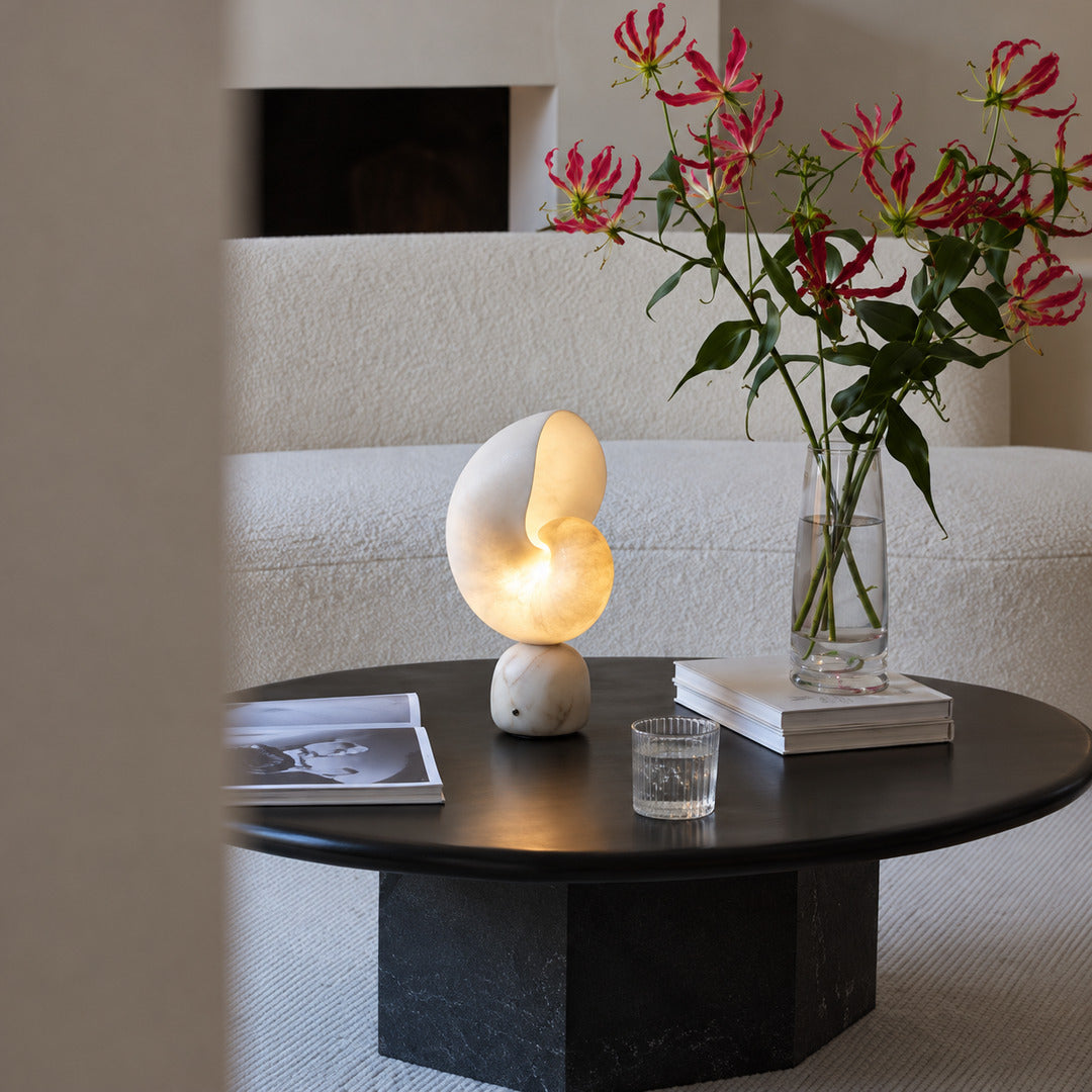 Spira alabaster lamp beside a potted plant on a living room side table