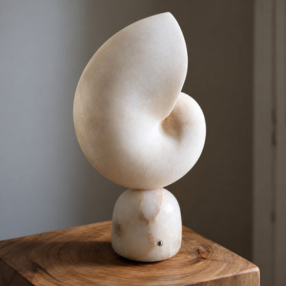 Side view of the Spira alabaster table lamp showing its curled seashell form